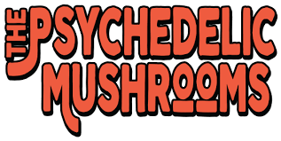 Psychedelis Mushrooms